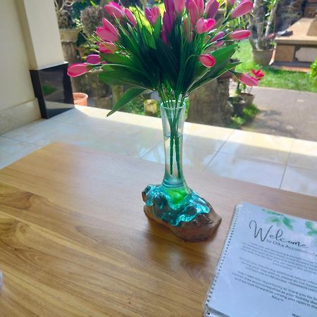 Dika Accommodation Ubud Esterno foto